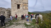 Včielky